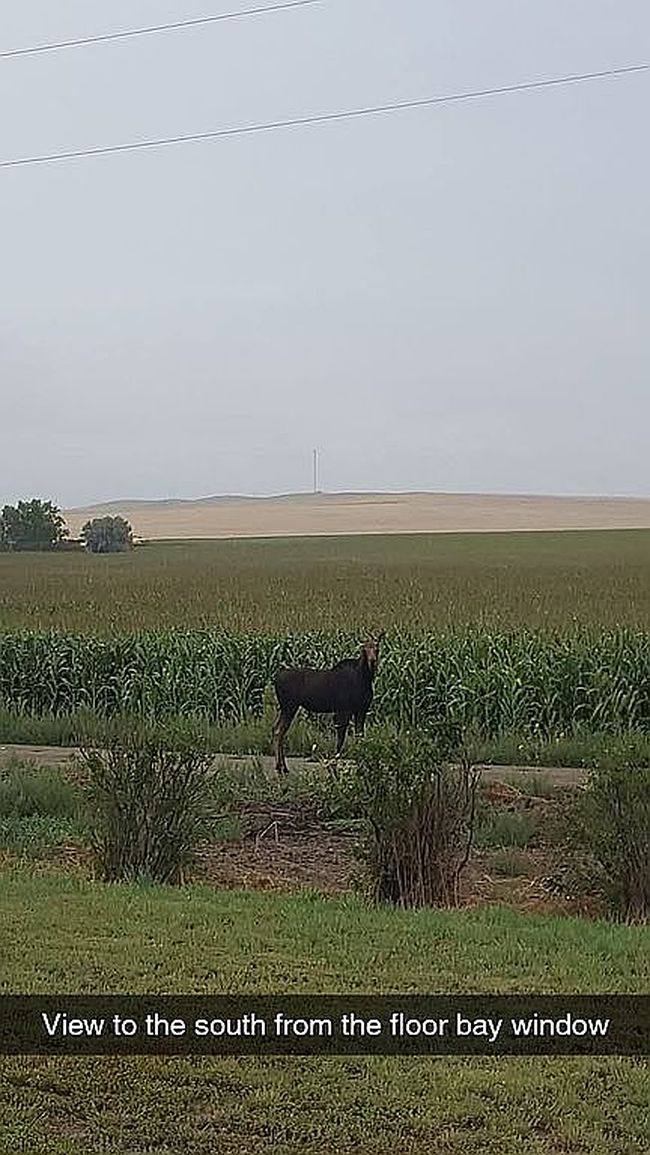 Photo of 122 Lunde Rd, Vida, MT