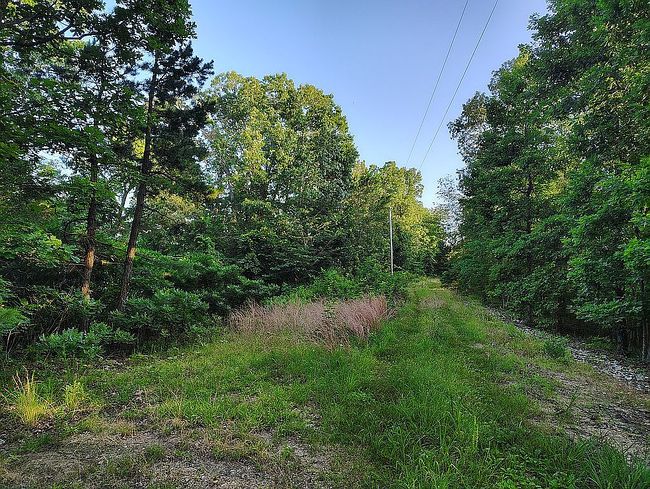 Photo of 1389 Peaceful Ln, Yellville, AR