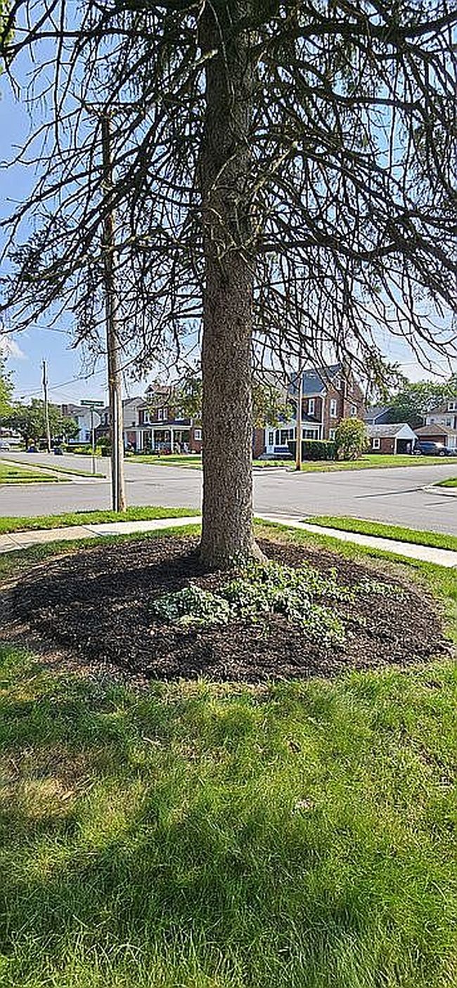 Image of 101 N Vernon St
