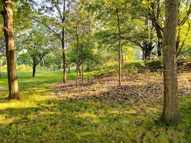 Photo of Silver St, Boyne City, MI