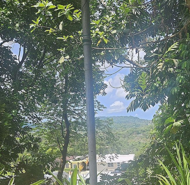 Photo of P8 Calle 9, Humacao, PR