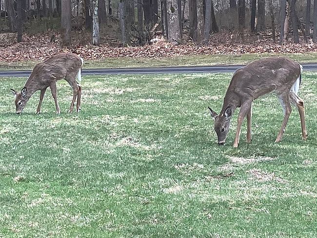 Photo of 44 Overlook Dr, Woodstock, NY