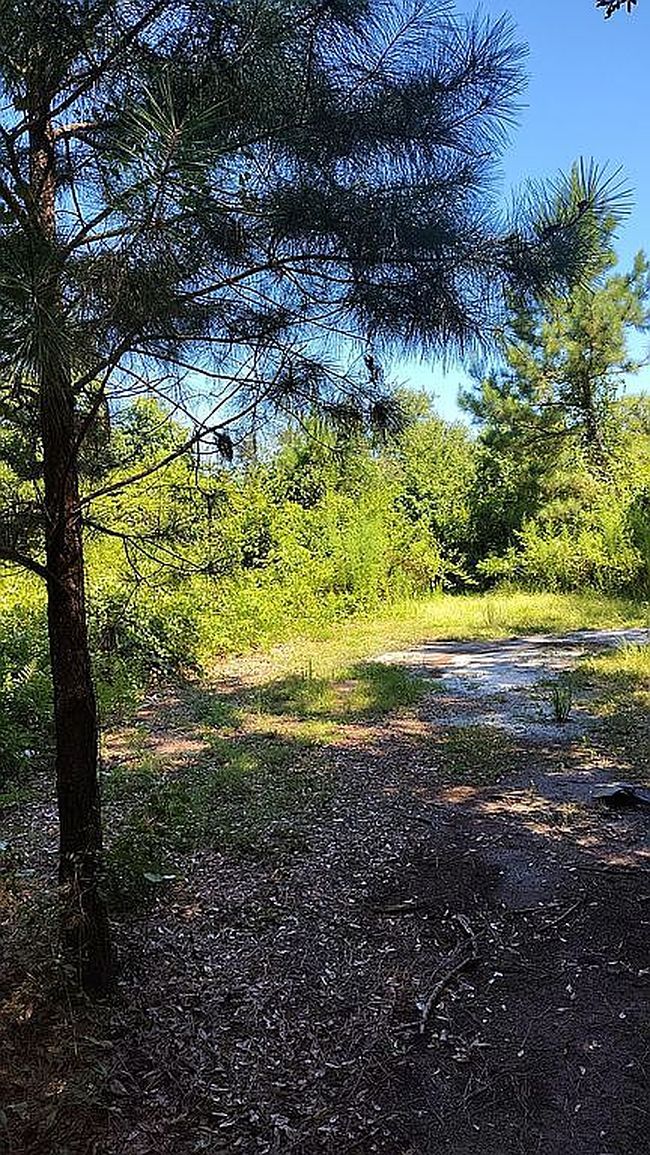 Photo of 2250 Colonial Coast Cir Se, Townsend, GA