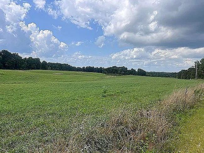 Photo of 100 Woodland Dr, Ider, AL