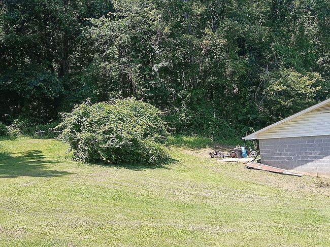 Photo of 2671 Bob Little Rd, Elizabethton, TN