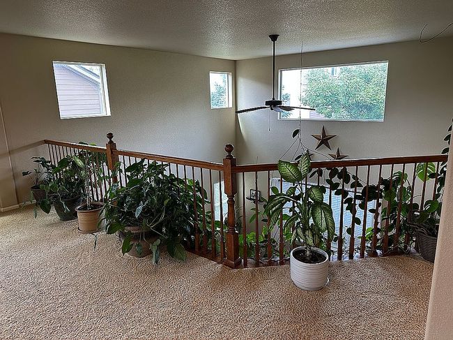 Photo of 13415 Kearney St, Thornton, CO