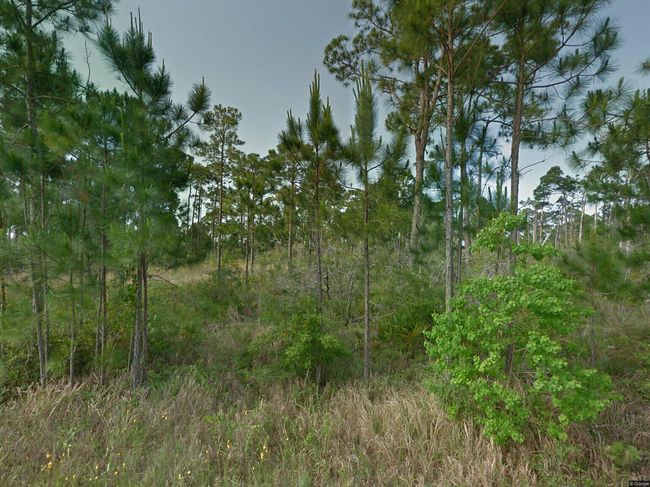 Photo of 16797 Innerarity Point Rd, Perdido Key, FL