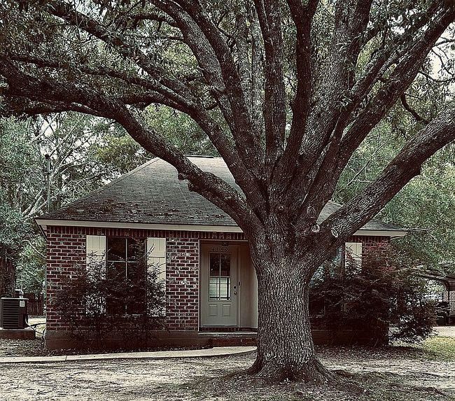 Image of 4369 Cherry Ct