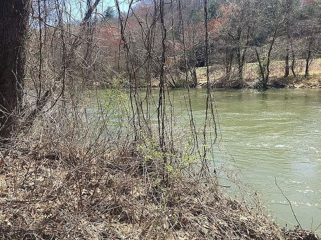 Image of 206 River Mist Rd