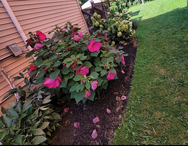 Photo of 70 Sterling Pl, Highland, NY