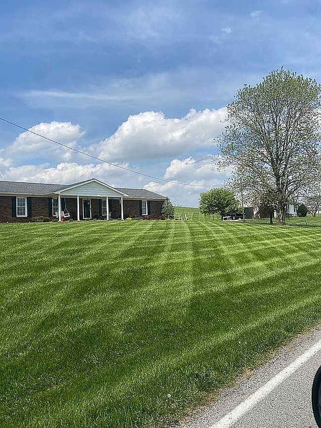 Image of 1955 Bearwallow Rd