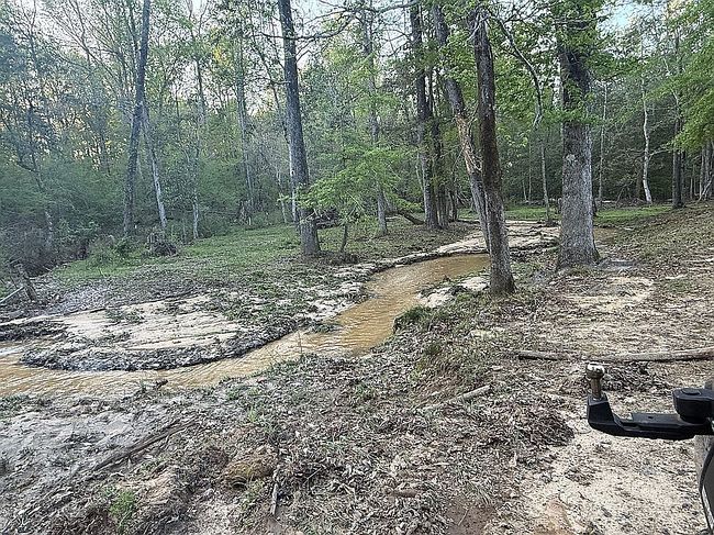 Image of 186 Beech Springs Rd