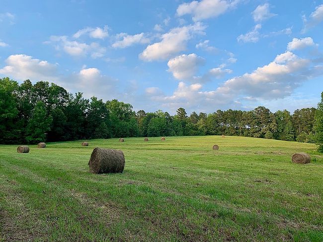 Image of 834 County Road 3544