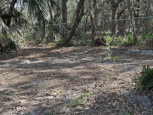 Photo of 259 S Janice Ln, Ormond Beach, FL