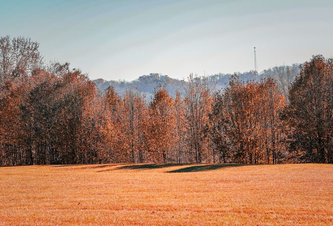 Image of 535 Boyds Creek Hwy