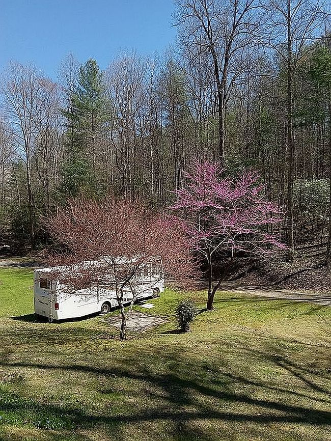 Image of 99 Trillium Trl