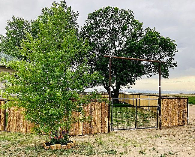 Image of 29752 County Road 53