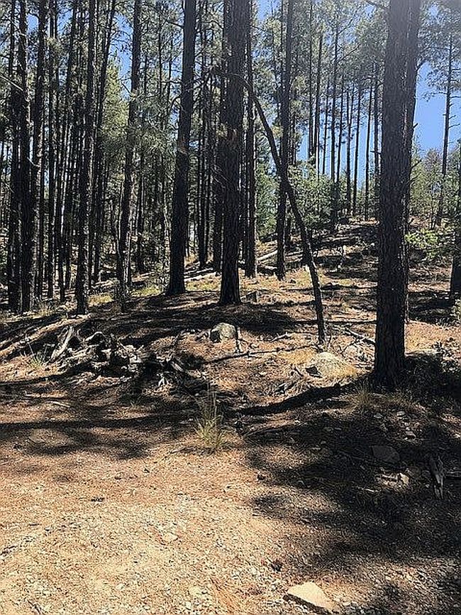 Photo of 0 Tree Tops Trl W, Prescott, AZ