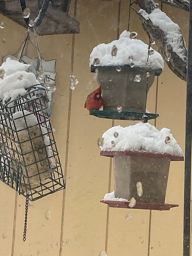 Additional photo 3 of property located at 298 Crosstown Hwy