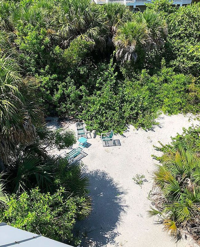 Image of 4561 Oyster Shell Dr