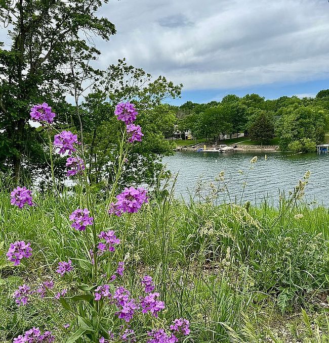 Photo of 21 Louisiana Dr, Linn Valley, KS