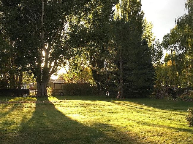 Photo of 295 S Division St, Cowley, WY