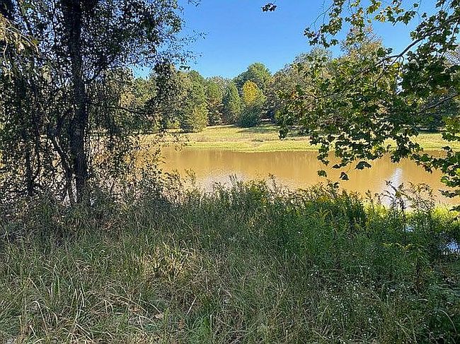 Image of 187 Sherwood Farms Rd