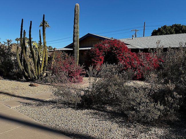 Image of 2617 S Palm Dr