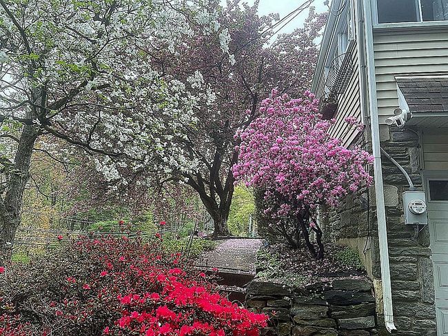 Photo of 492 Howellville Rd, Berwyn, PA