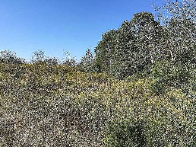Image of 2373 Rocky Springs Rd