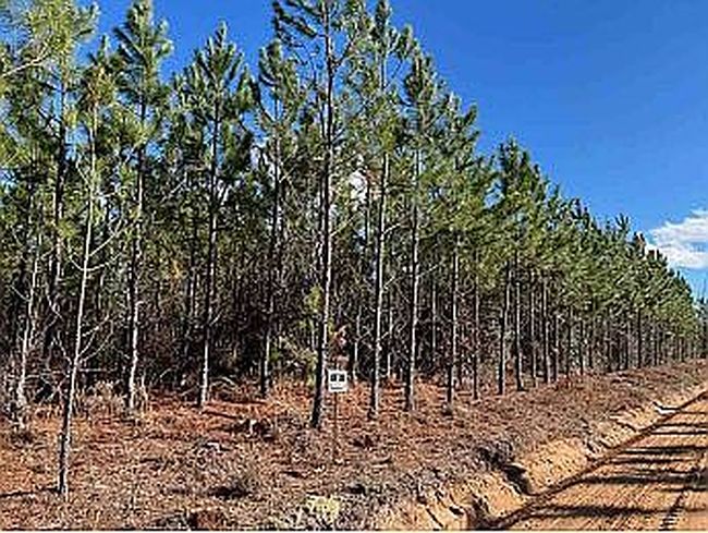 Image of 0 Penny Morris Rd