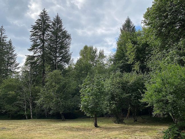Photo of 22412 Ne 233rd St, Battle Ground, WA