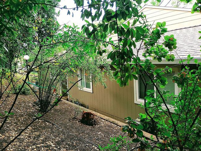 Preview of property located at 25 Oliva Dr