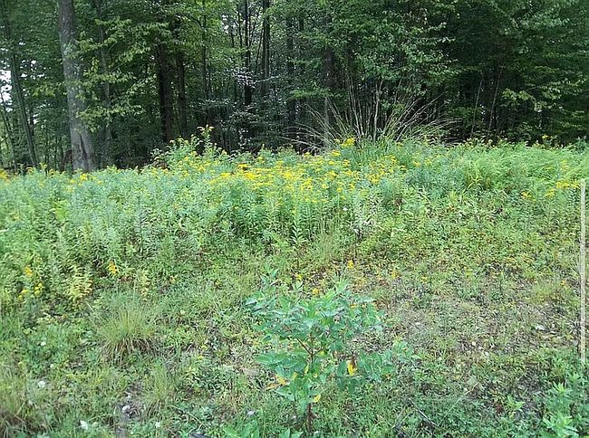 Image of 19 Hemlock Ridge Rd