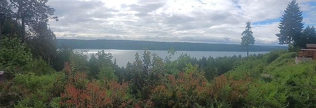 Photo of 931 N Colony Surf Dr, Lilliwaup, WA