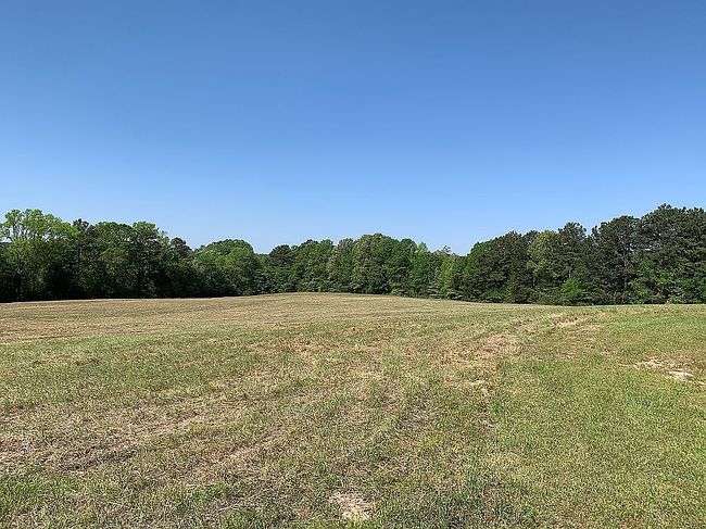 Image of 1729 County Road 2225