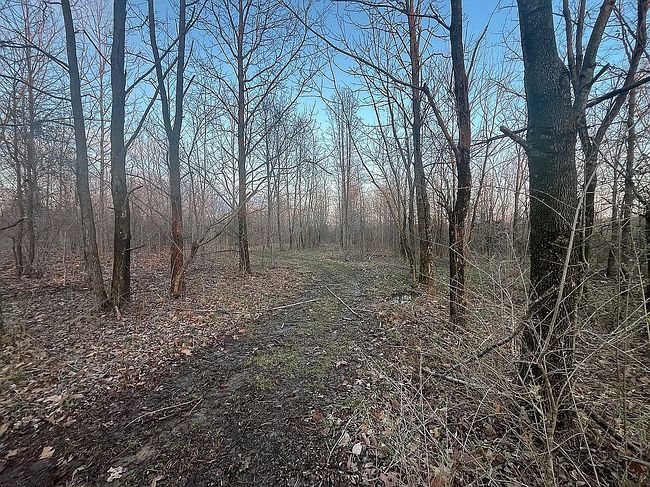 Image of 101 Doerner Rd
