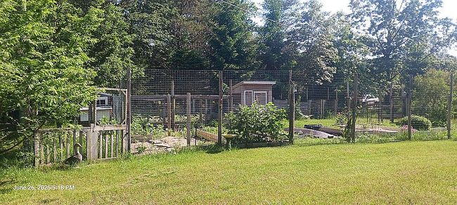 Photo of 410 Birchwood Dr, Manistee, MI