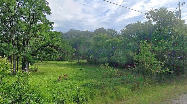 Image of 238 County Road 4315