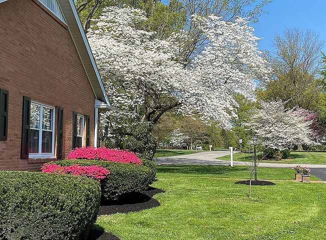 Image of 304 Sherwood Dr