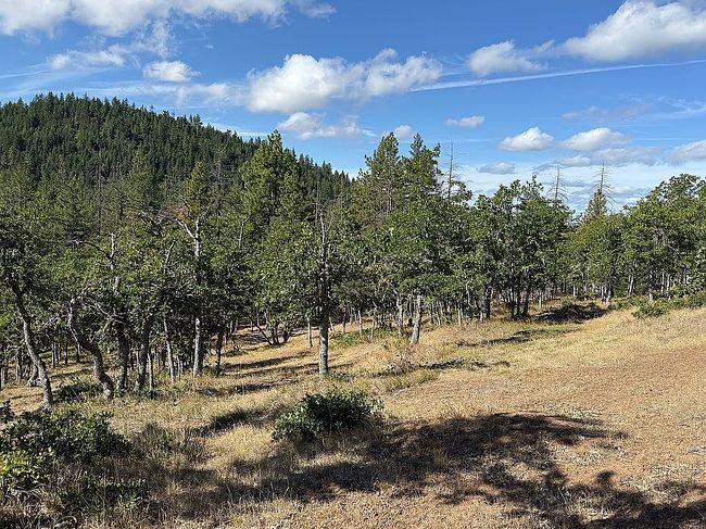 33 Pine Ridge Rd, Goldendale, WA