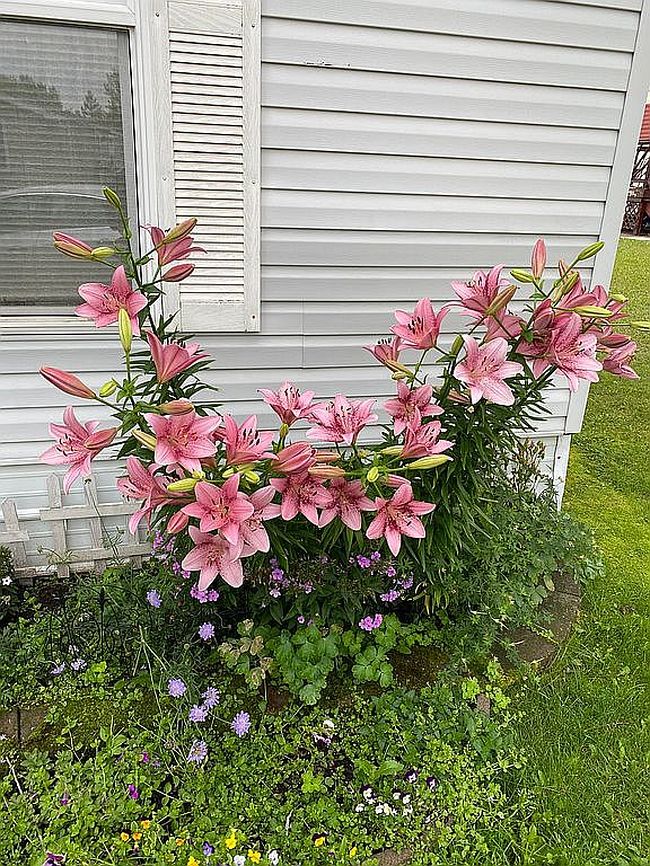 Image of 24 Juniper Ln