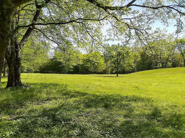 Image of 1000 County Road 273
