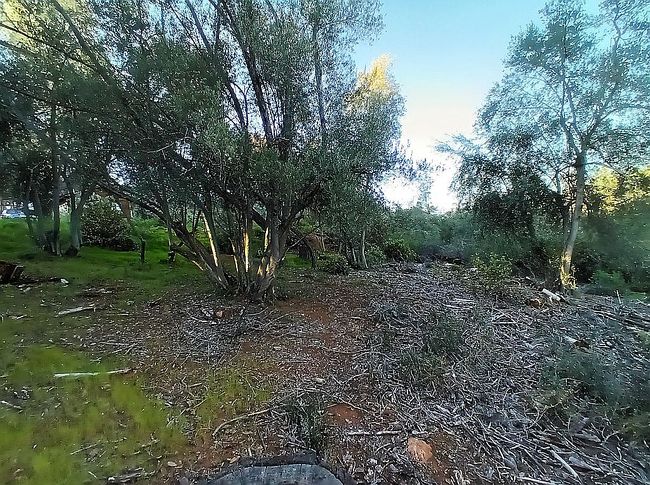 Image of 4622 Kaweah Rd