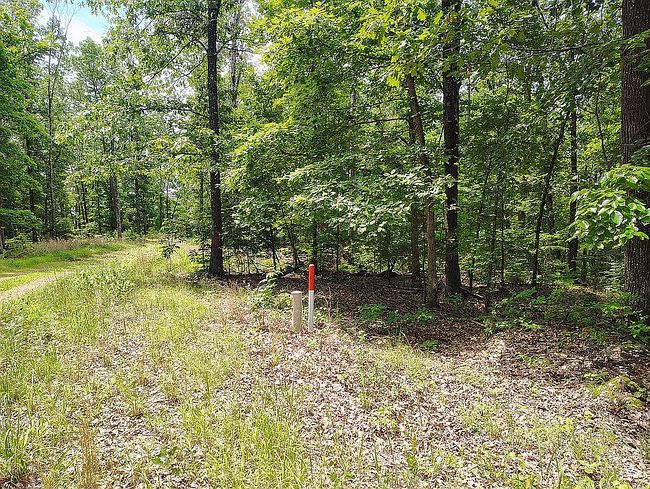 Photo of 273 Peaceful Ln, Yellville, AR
