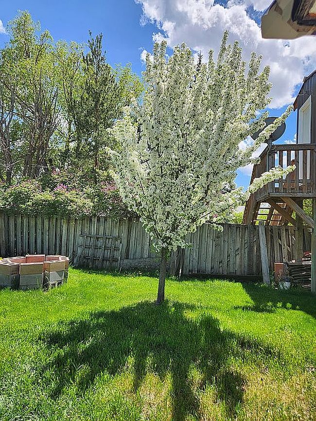 Photo of 215 E Little Ave, Driggs, ID