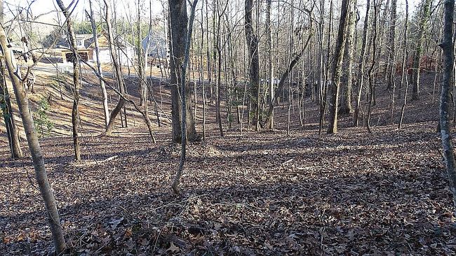Image of 116 Woods Dr