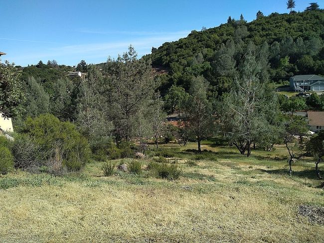 Image of 10161 El Capitan Way