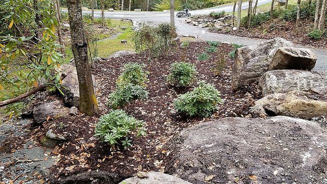 Image of Lot Eagles Nest Trl #96