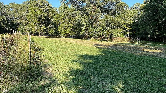 Photo of 2770 Collins Dr, Pine Apple, AL